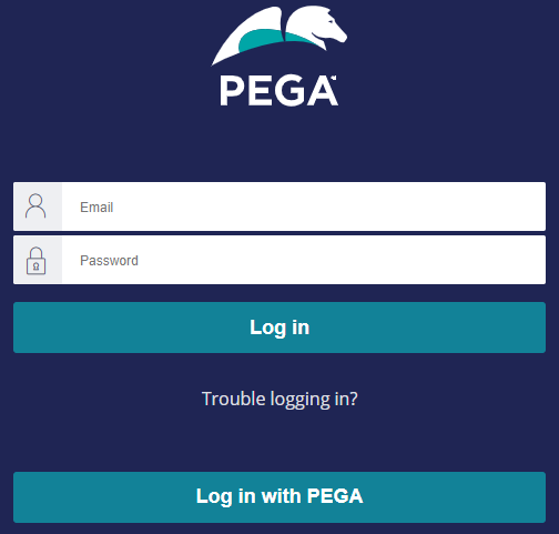 Example log in prompt