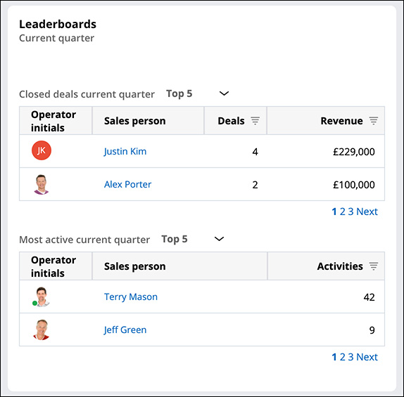 An example view of the Leaderboards widget