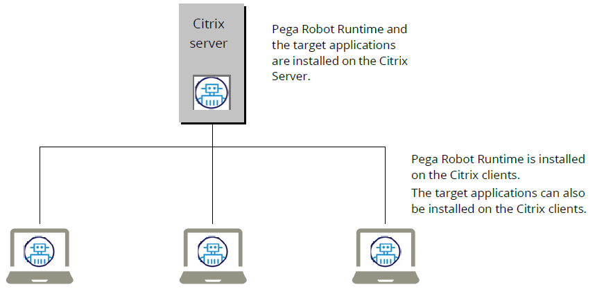 A sample Citrix configuration that shows the Citrix server and Citrix clients.