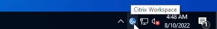 The Citrix Workspace icon on the taskbar.