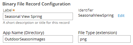 Binary File Record Configuration