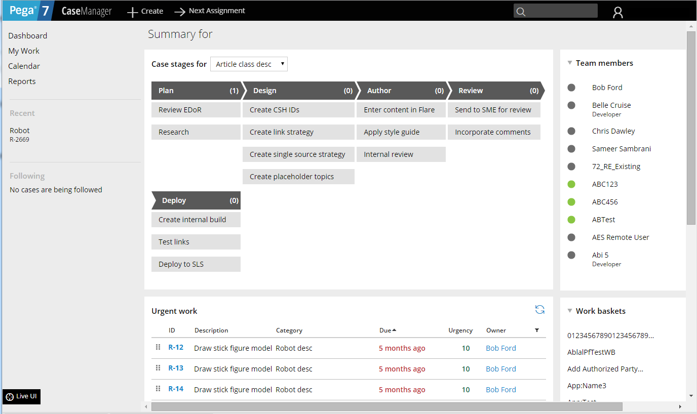 Example Case Manager portal