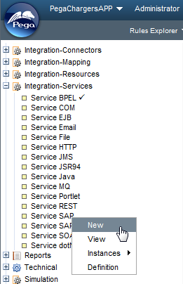 SAP Serice options