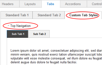 Preview custom tab format
