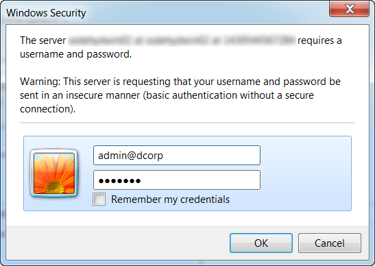 Entering login credentials in the Windows Security window