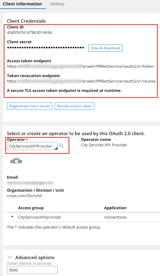 Completing the Client Information tab in the Client Registration data instance rule form