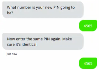 Chatbot asks customer for a new PIN and confirms the PIN